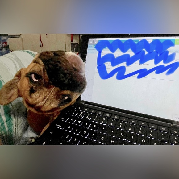 Meet your Posher, Michele - Picture 11 of 16